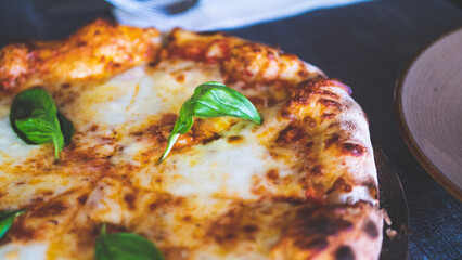 Fresh hot pizza cheese margherita gourmet oven close up green basil leaf 