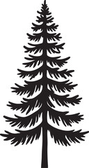 pine tree isolated on white background