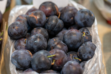 A plastic container of prune plums or Damson plums with the stalks still attached at a farmer's market for sale. The violet, ovoid plums are in bulk. The fruit is sweet with smooth purple skin. 