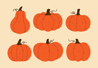set of pumpkins for halloween and autumn fall season elements collection design illustration 