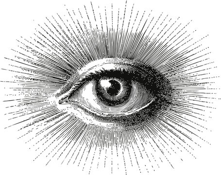 Monochrome illustration of a single eye with rays symbolizing enlightenment. Vector illustration