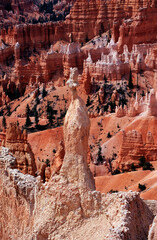 bryce canyon national park view