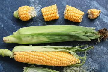 Fresh corn cobs on blue table