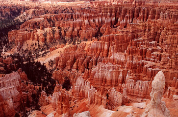 bryce canyon national park view
