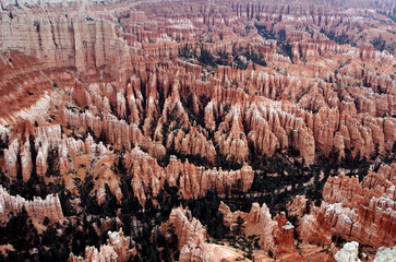 bryce canyon national park landscape