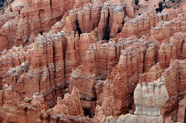 bryce canyon national park landscape