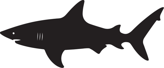 vector illustration of a shark