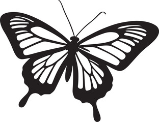 black butterfly vector illustration