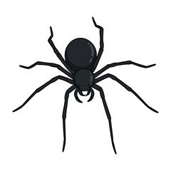 Black spider illustration, cartoon spider web design, halloween animal vector graphic