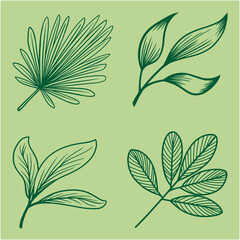 Artistic Botanical Vector Design Featuring Abstract Plant Line Art, Monoline Floral Illustrations, Elegant Nature Elements for Eco Friendly Product Packaging, Tattoo Designs, Wedding Cards, Printable 