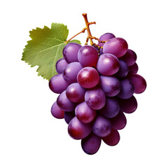 Fototapeta premium Bunch of purple grapes fruit