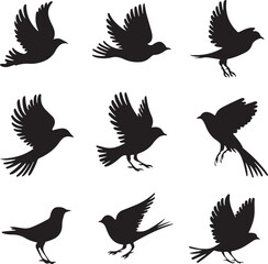 Obraz premium Set of flying bird vector silhouettes with various wings, including eagle, hawk, dove, crow, and pigeon designs, perfect for nature and wildlife illustrations