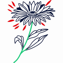 Line Art Flower Illustration: White Daisy with Red Splashes