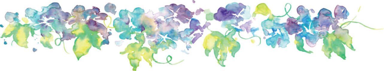朝顔の水彩イラスト。水彩画で描いた朝顔のベクターイラスト。和風の夏朝顔背景。Watercolor illustration of morning glory. Vector illustration of morning glory in watercolor. Japanese summer morning glory background.