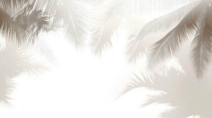 Delicate palm fronds with soft shadows.