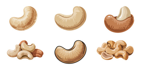 cashew nuts pile cartoon illustration  isolated on white background, cashew nuts illustration vector, Realistic Cashew Nuts Vector Illustration, Whole and peeled cashew nuts, vector illustration