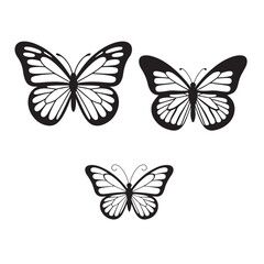 Set of vector butterflies isolated