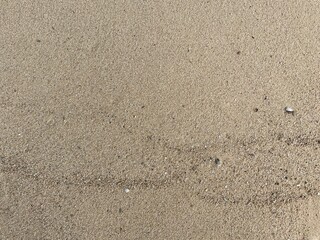 A photo of white beach sand glows under the sunlight, smooth and clean, stretching along the shoreline. Its soft texture and bright color create a calm, tropical vibe.
