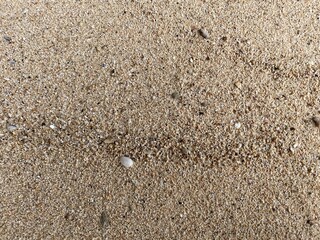 A photo of white beach sand glows under the sunlight, smooth and clean, stretching along the shoreline. Its soft texture and bright color create a calm, tropical vibe.