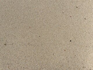 A photo of white beach sand glows under the sunlight, smooth and clean, stretching along the shoreline. Its soft texture and bright color create a calm, tropical vibe.