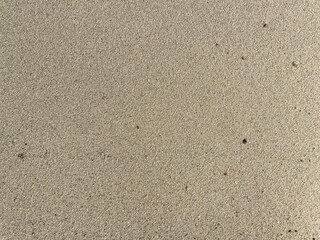 A photo of white beach sand glows under the sunlight, smooth and clean, stretching along the shoreline. Its soft texture and bright color create a calm, tropical vibe.