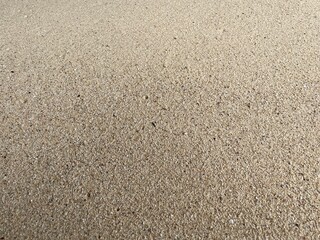 A photo of white beach sand glows under the sunlight, smooth and clean, stretching along the shoreline. Its soft texture and bright color create a calm, tropical vibe.