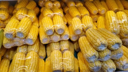 Plastic packaging of fresh sweet corn (Zea mays) kept for sale in a Supermarket. Yellow sweetcorn on shelf an organic store in shopping mall. Product display in grocery store produce section. Optimizi