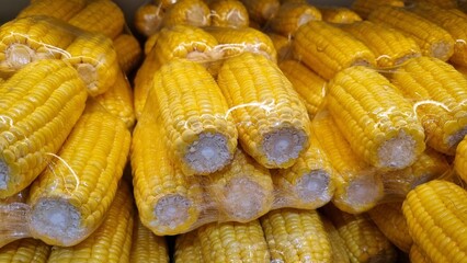 Plastic packaging of fresh sweet corn (Zea mays) kept for sale in a Supermarket. Yellow sweetcorn on shelf an organic store in shopping mall. Product display in grocery store produce section. Optimizi