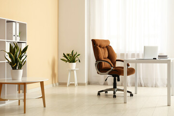 Interior of office with workplace, shelf unit and Sansevieria plants