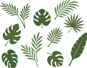 야자수 일러스트