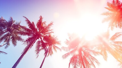 Palm trees against a vibrant sky