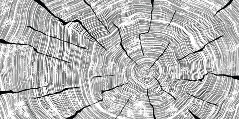 Log cut, wood texture, tree rings pattern, shades of gray, rough vector background