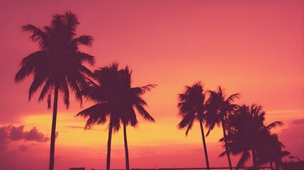 Tropical sunset with silhouettes of palms