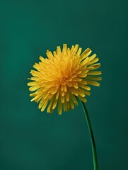 yellow flower, isolated on green background, generative ai