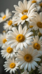 Obraz premium Close-up of a Bouquet of Daisies