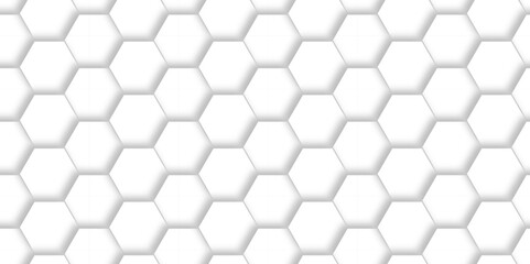 Abstract minimal Background with white lines Hexagonal structure futuristic white background and Embossed Hexagon , honeycomb white mosaic cell web ,light and shadow texture design.	
