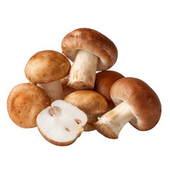 Fototapeta premium Brown mushrooms group isolated on transparent background