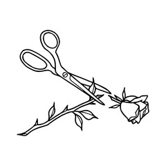 scissors cutting rose stem vector illustration