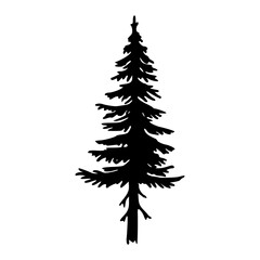 pine forest tree vector