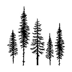 Obraz premium pine forest tree vector