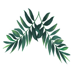 laurel wreath isolated on white