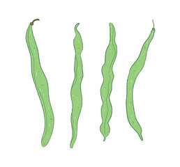 Raw fresh green green beans