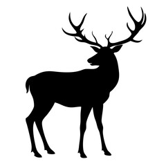 Obraz premium Silhouette of a deer with large antlers, elegant stag illustration on white background 