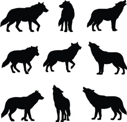Wolf silhouette collection showing wild animal in different poses, howling, standing, walking, side view, predator concept, forest wildlife, isolated on white background