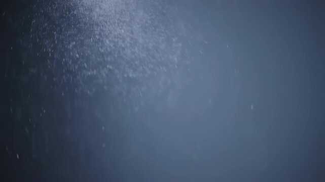 Subtle particulate matter drifting through the air creates a dynamic backdrop