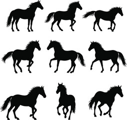 Silhouettes of horses in dynamic walking and running poses, wild stallion vector set, equestrian motion concept, animal graphic design, isolated black illustrations collection