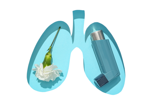 Inhaler with a white flower, isolated on white, PNG
