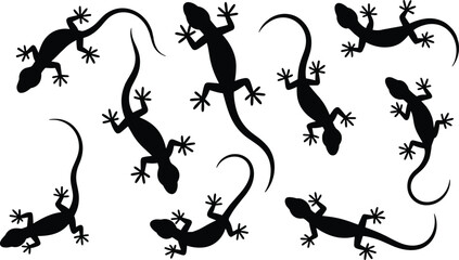 Silhouette set of geckos isolated on white background, reptile lizard shapes collection, crawling lizard silhouettes, black gecko icons for wildlife vector illustration designs