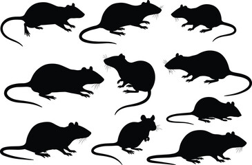 Silhouette collection of rats and mice in various sitting and crawling poses, rodent animal design, pest control concept, vector illustration, isolated black shape set