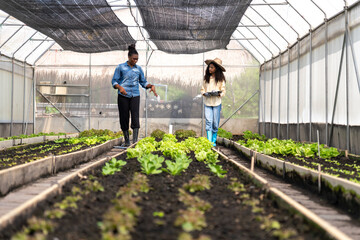 Children learn to grow vegetables and collect data from experimental vegetable plots in a temperature-controlled greenhouse.